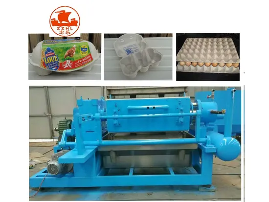 Paper Egg Tray Making Machine 1000PCS Per Hour Carton Box Egg Tray Production Line